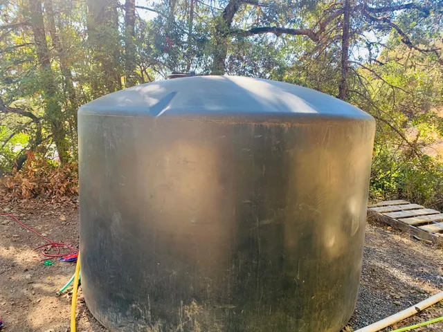a view of a tree in the middle of a yard