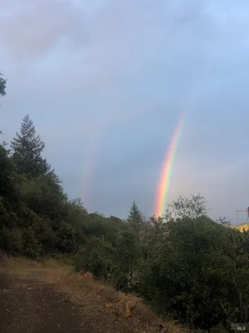 a view of yard from outdoor space