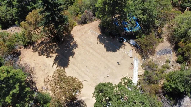 a view of a wooden wall with a tree