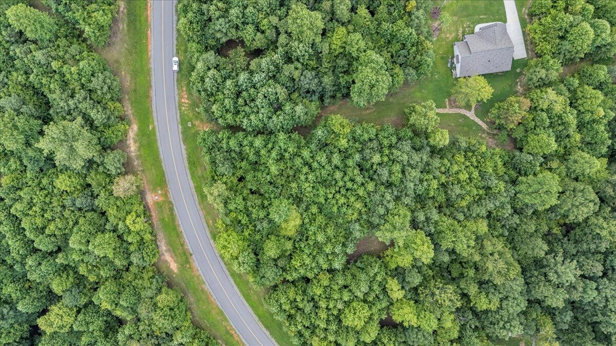 205 Whiskey Way Jasper, TN 37347 - Photo 5 of 21 a view of a yard with plants
