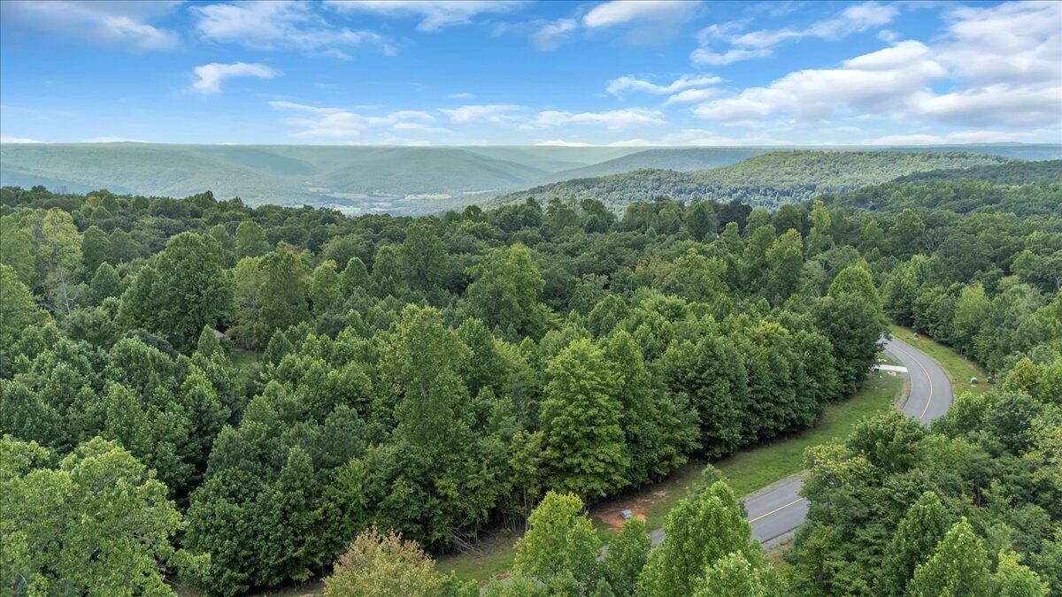 205 Whiskey Way Jasper, TN 37347 - Photo 7 of 21 a view of a city with lush green forest