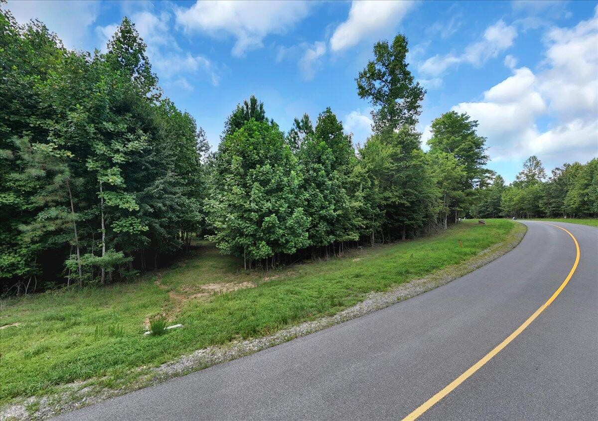 205 Whiskey Way Jasper, TN 37347 - Photo 8 of 21 a view of a street with a yard
