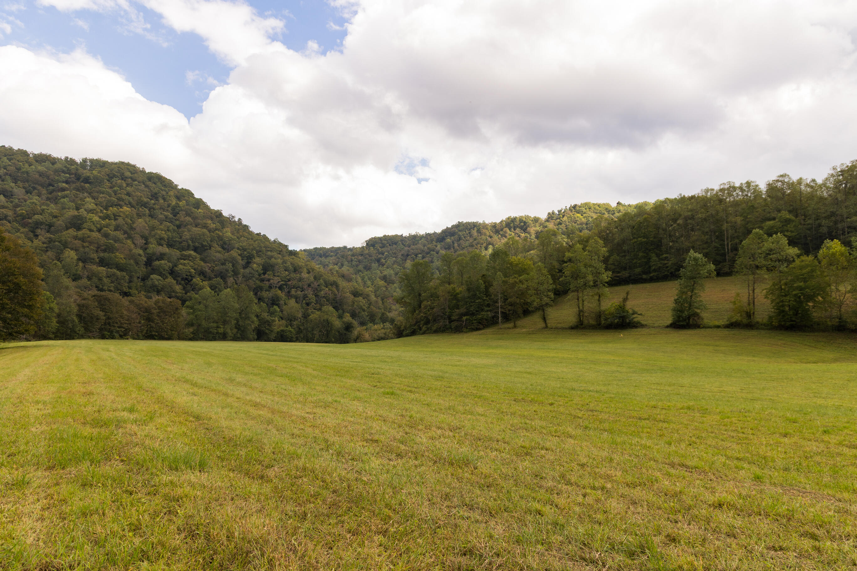 251 Everett Byrd Road Ricetown, KY 41364 - Photo 8 of 54 FO7A9284