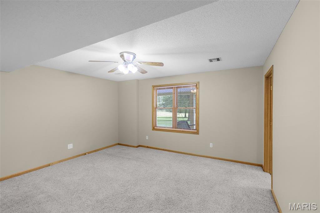 28 Bluff Road Chaffee, MO 63740 - Photo 13 of 44 Gallery Image 13