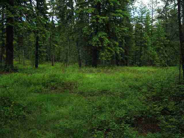 4775 D Whittier Road Clayton, WA 99110 - Photo 1 of 8