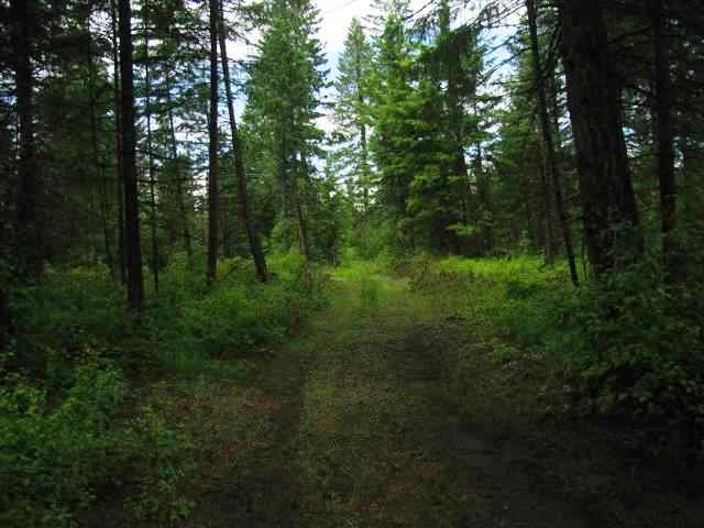 4775 D Whittier Road Clayton, WA 99110 - Photo 2 of 8