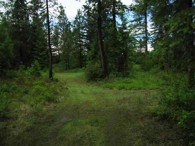 4775 D Whittier Road Clayton, WA 99110 - Photo 3 of 8