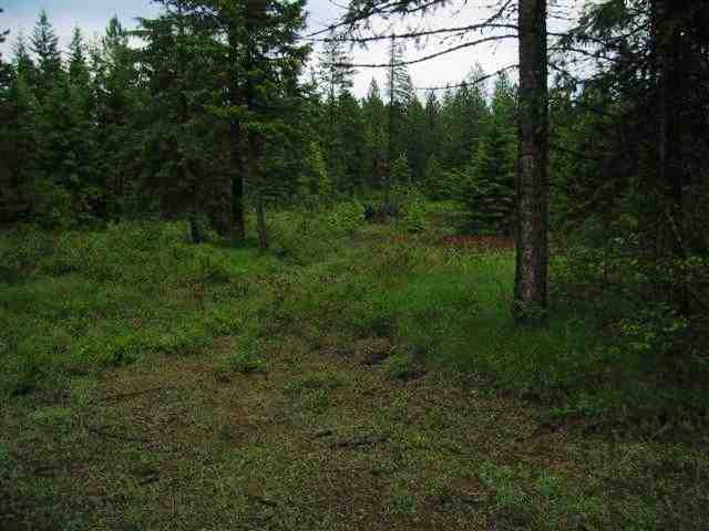 4775 D Whittier Road Clayton, WA 99110 - Photo 4 of 8