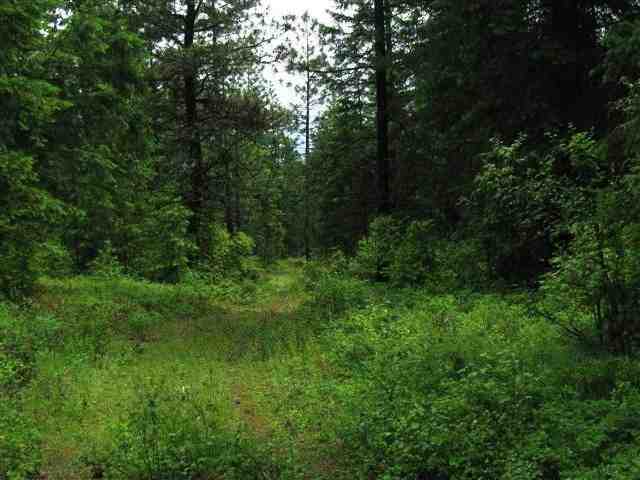 4775 D Whittier Road Clayton, WA 99110 - Photo 5 of 8