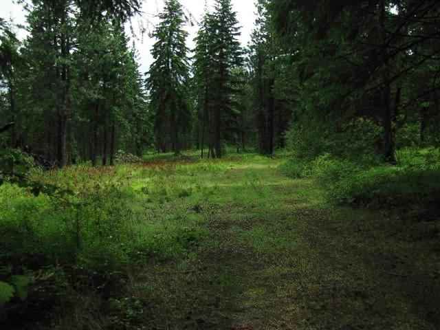 4775 D Whittier Road Clayton, WA 99110 - Photo 6 of 8