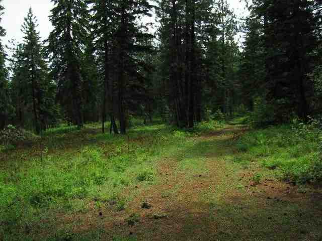 4775 D Whittier Road Clayton, WA 99110 - Photo 7 of 8