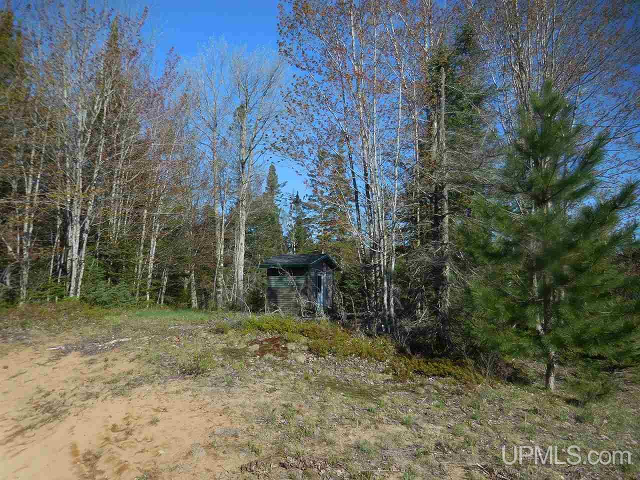 1480 Acres On Co Road Manistique, MI 49854 - Photo 5 of 49