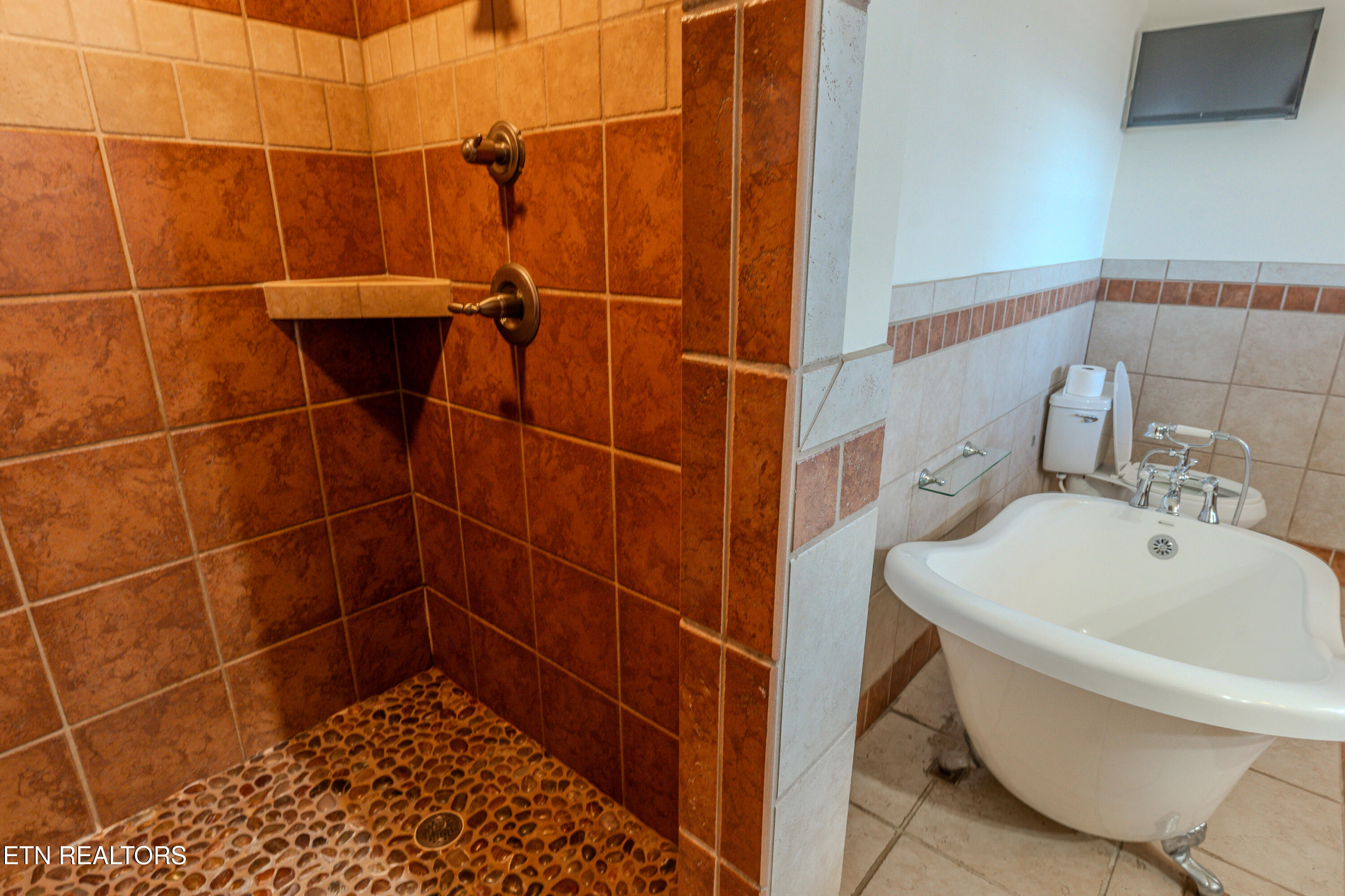 2386 Lower Rinehart Road Dandridge, TN 37725 - Photo 35 of 56 20250122-20250122-DSC05361-HDR