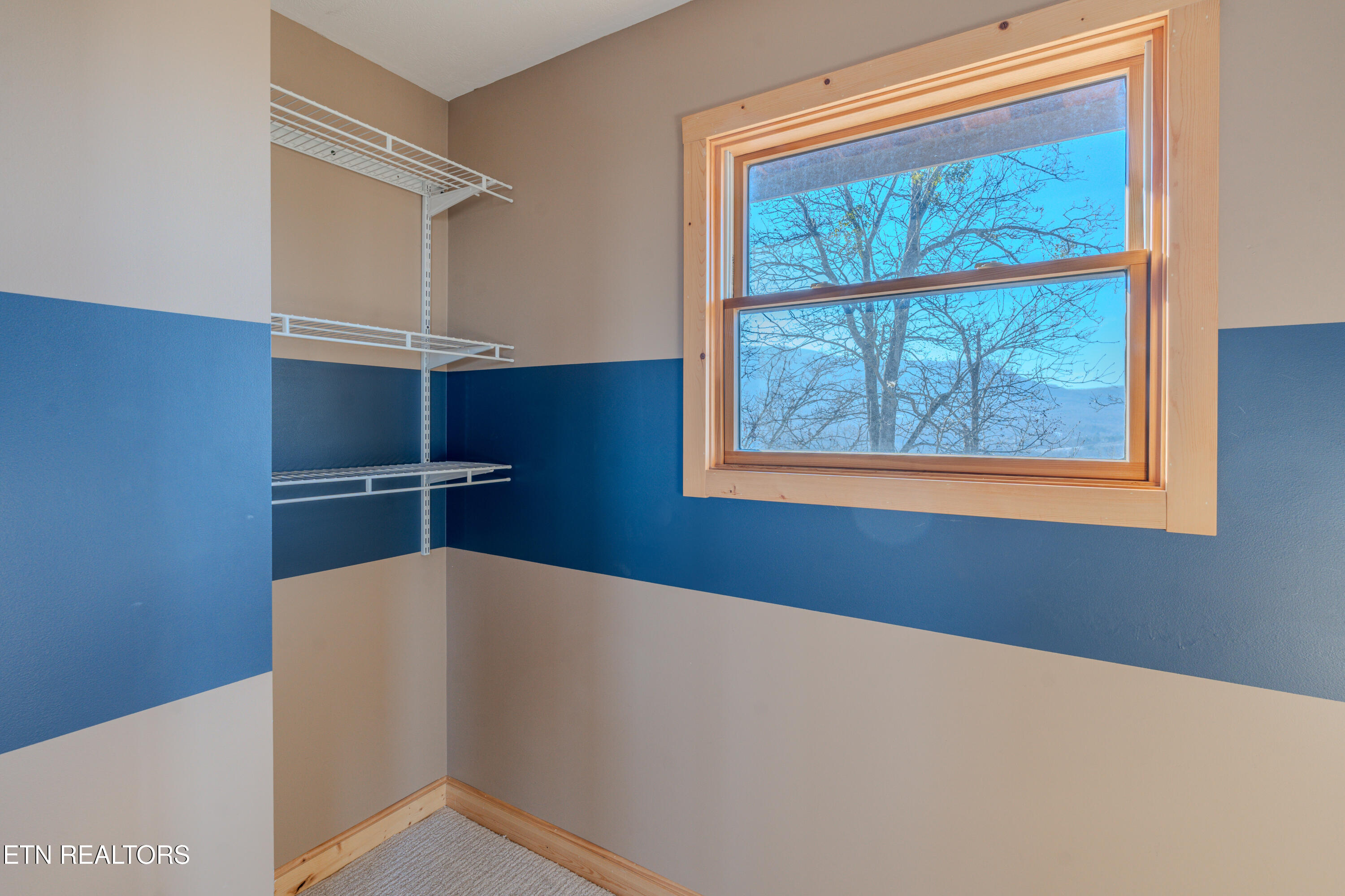 2386 Lower Rinehart Road Dandridge, TN 37725 - Photo 42 of 56 20250122-20250122-DSC05431-HDR