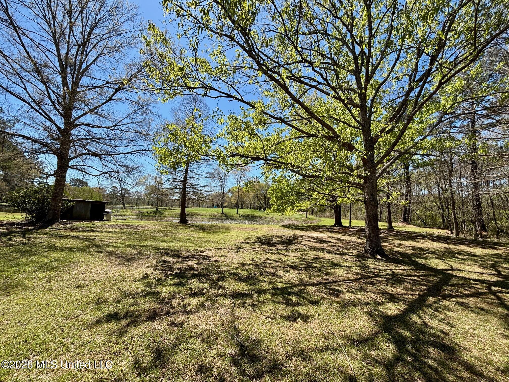 54 Kennedy Road, Unit 1 Tylertown, MS 39667 - Photo 24 of 29 IMG_2978