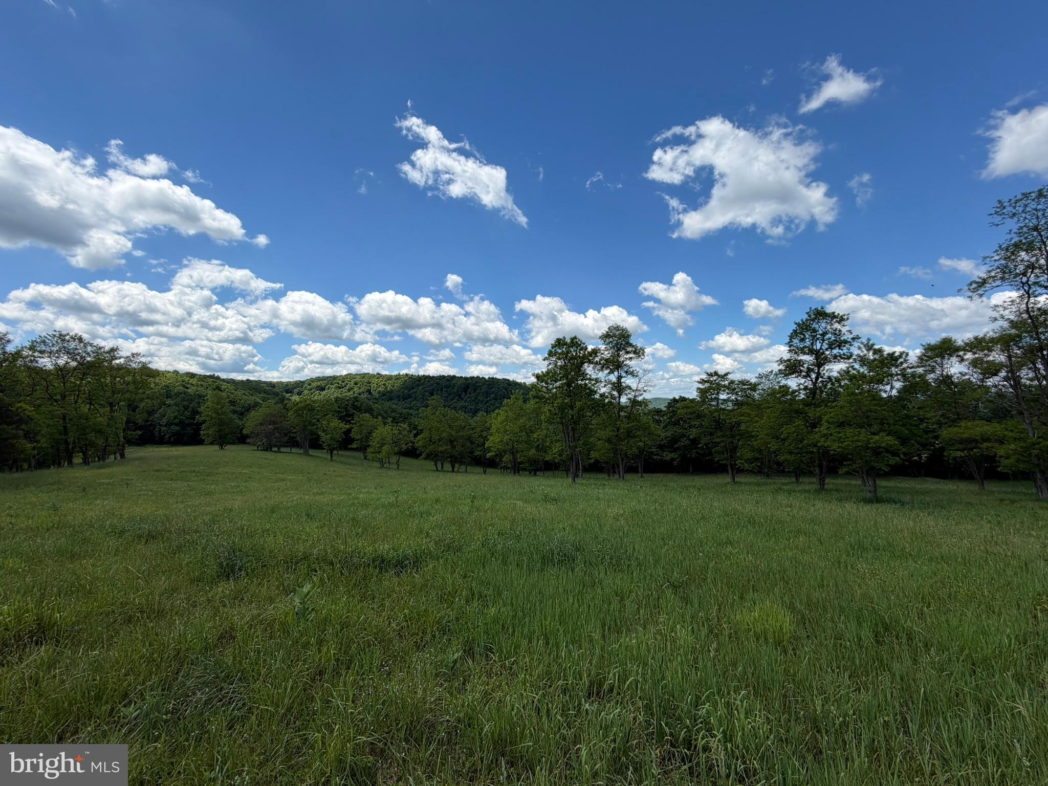 848 Sugar Camp Road Clearfield, PA 16830 - Photo 69 of 118