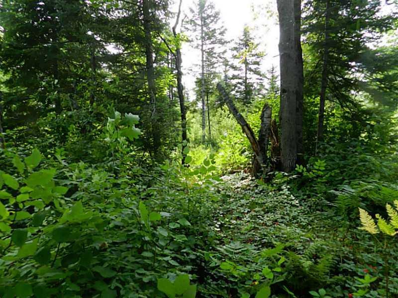 107 Ford Hill Road Hartland, ME 04943 - Photo 22 of 27 Land.