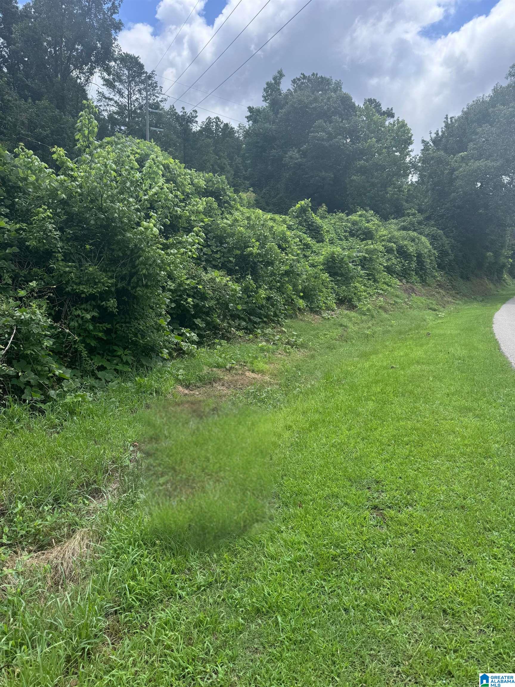 777 Yarbrough Road Fultondale, AL 35217 - Photo 1 of 6