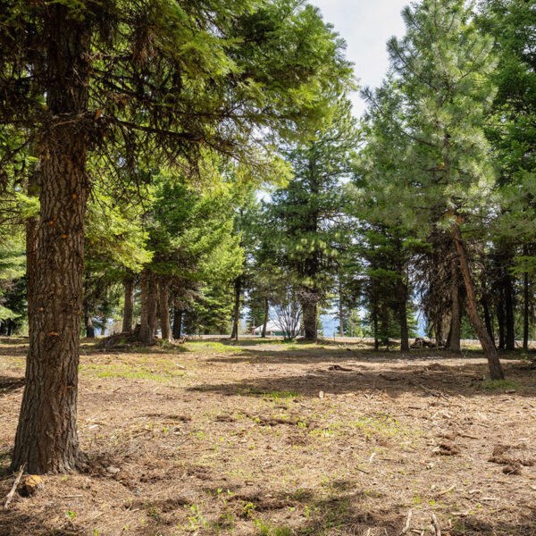 Lot 6 To Be Determined, Unit 6 McCall, ID 83638 - Photo 2 of 2