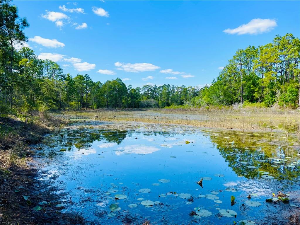 Ostrom Way Weeki Wachee, FL 34613 - Photo 1 of 1 Gallery Image 1