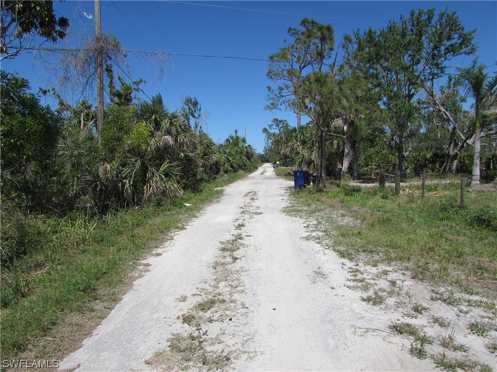 a view of a dirt road with trees in the background