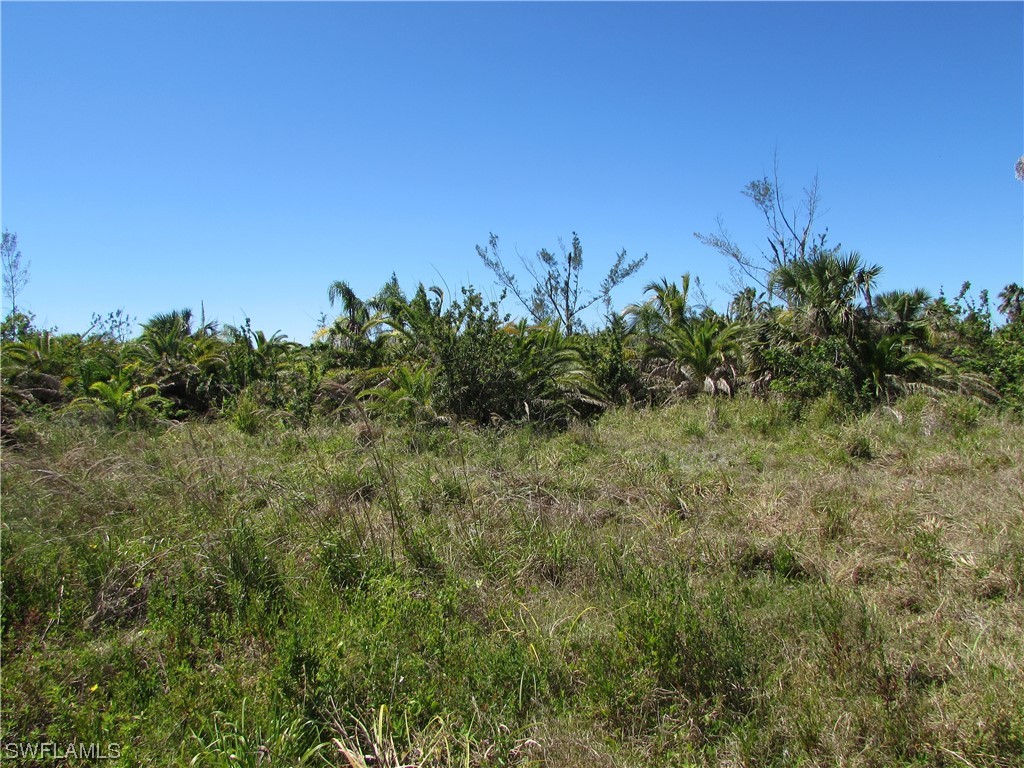 Samadani Lane Bokeelia, FL 33922 - Photo 12 of 17 a view of a big yard with large trees