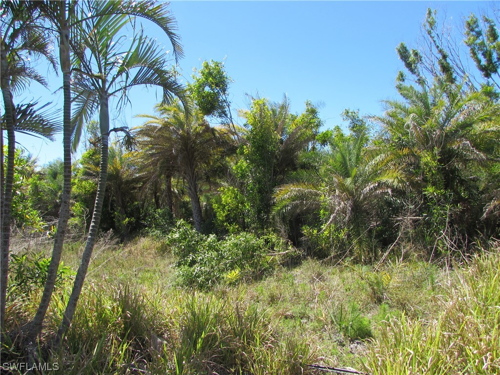Samadani Lane Bokeelia, FL 33922 - Photo 3 of 17 a view of a garden
