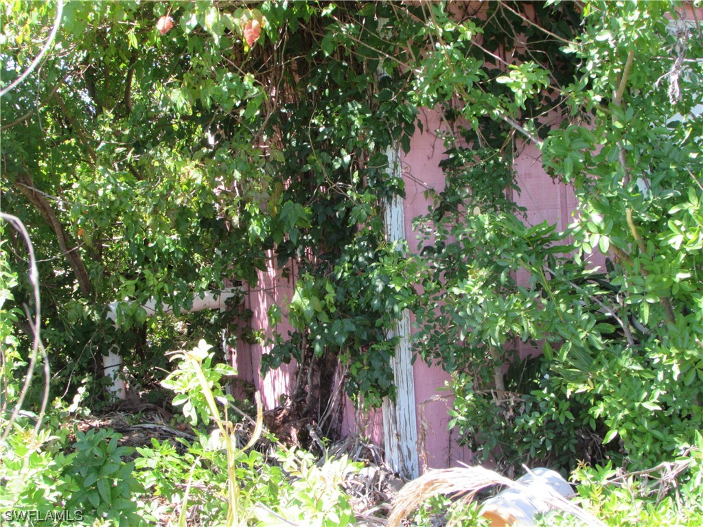 Samadani Lane Bokeelia, FL 33922 - Photo 8 of 17 a picture of tree