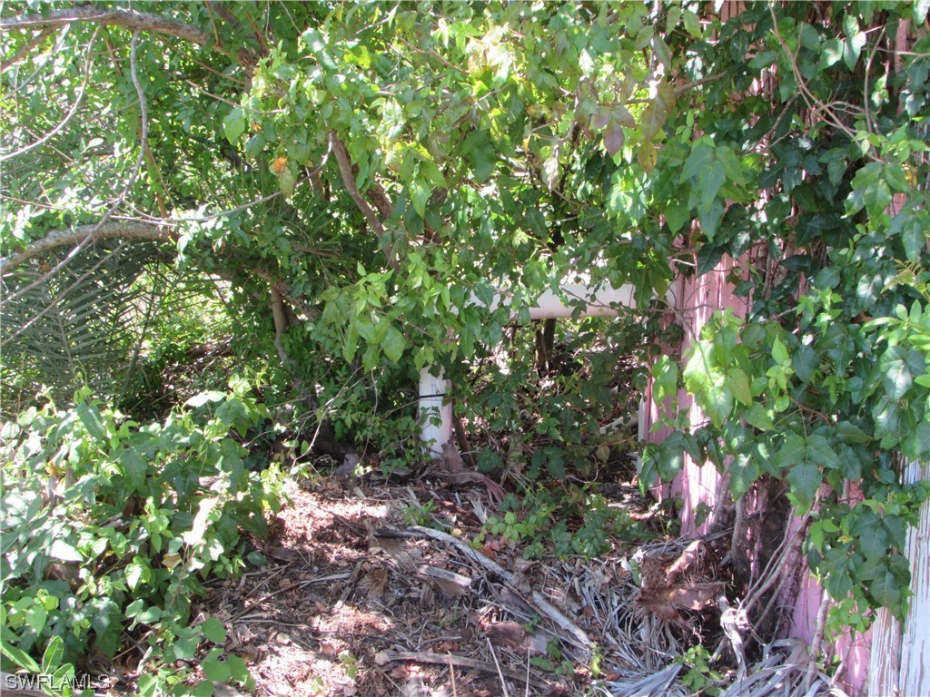 Samadani Lane Bokeelia, FL 33922 - Photo 9 of 17 a backyard of a house with lots of trees