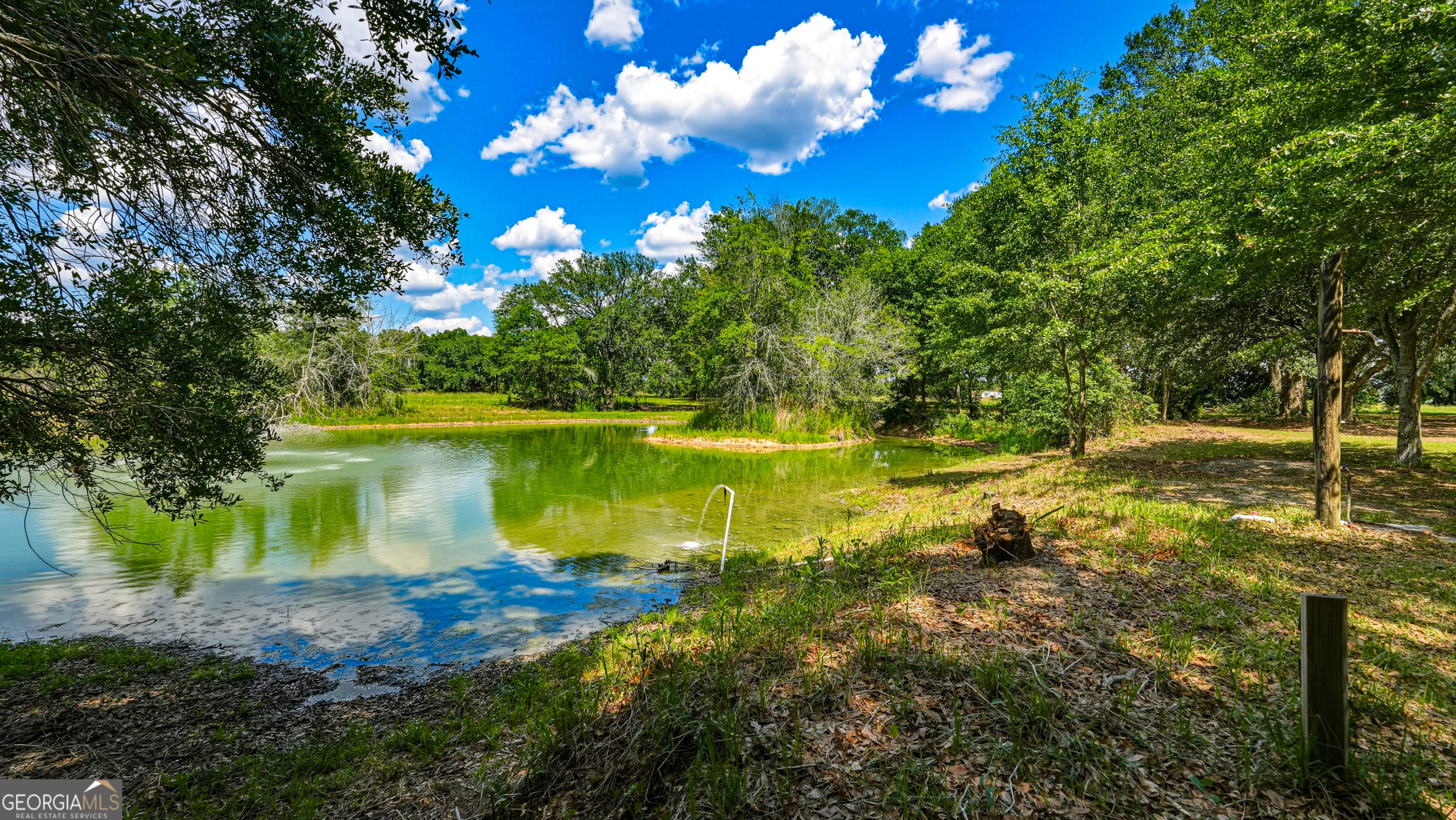 0 Ritch Church Road Screven, GA 31560 - Photo 15 of 43
