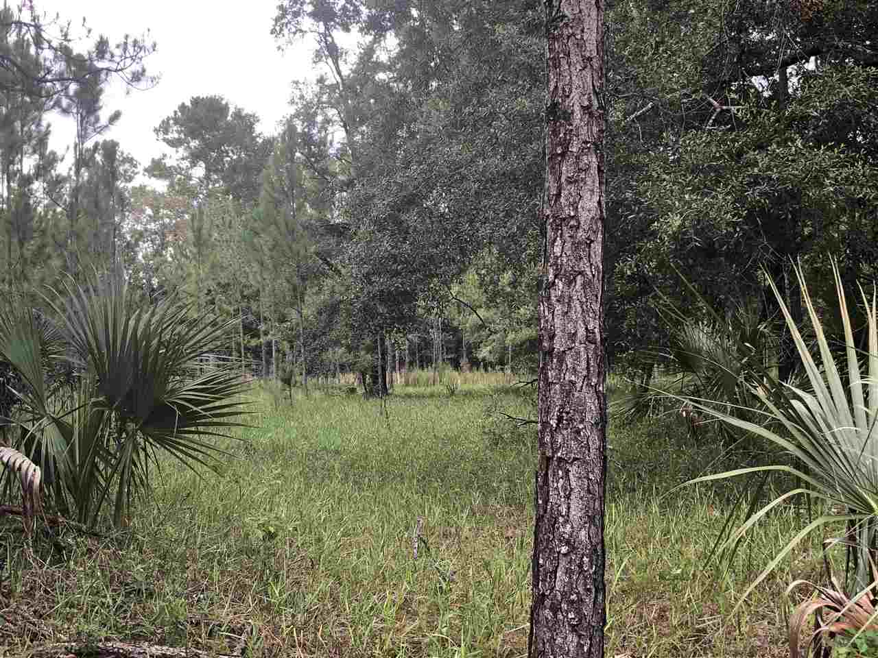911 Jody Morgan Road Perry, FL 32348 - Photo 2 of 23 Gallery Image 2