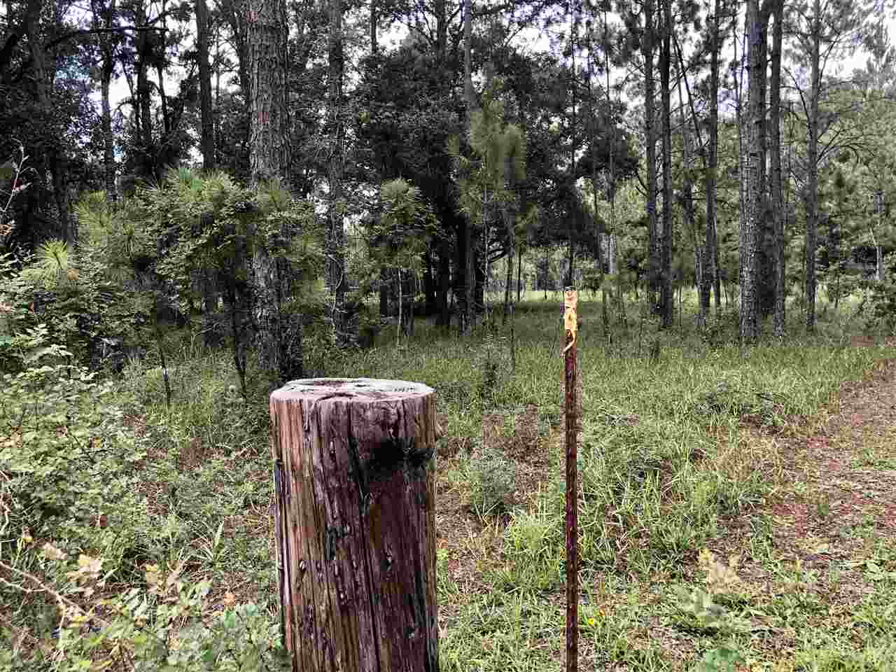 911 Jody Morgan Road Perry, FL 32348 - Photo 5 of 23 Gallery Image 5