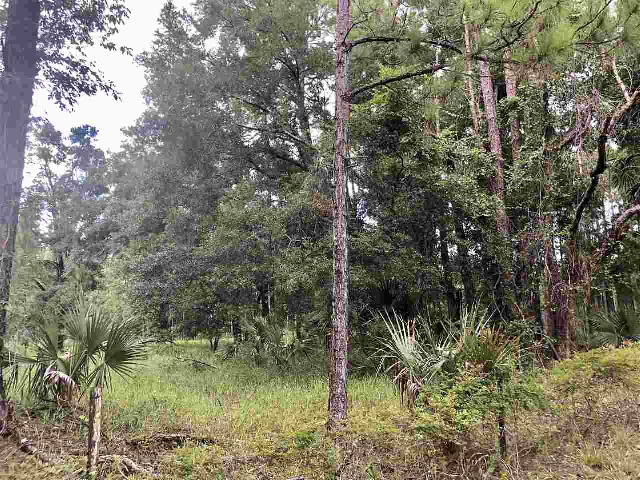 911 Jody Morgan Road Perry, FL 32348 - Photo 9 of 23 Gallery Image 9