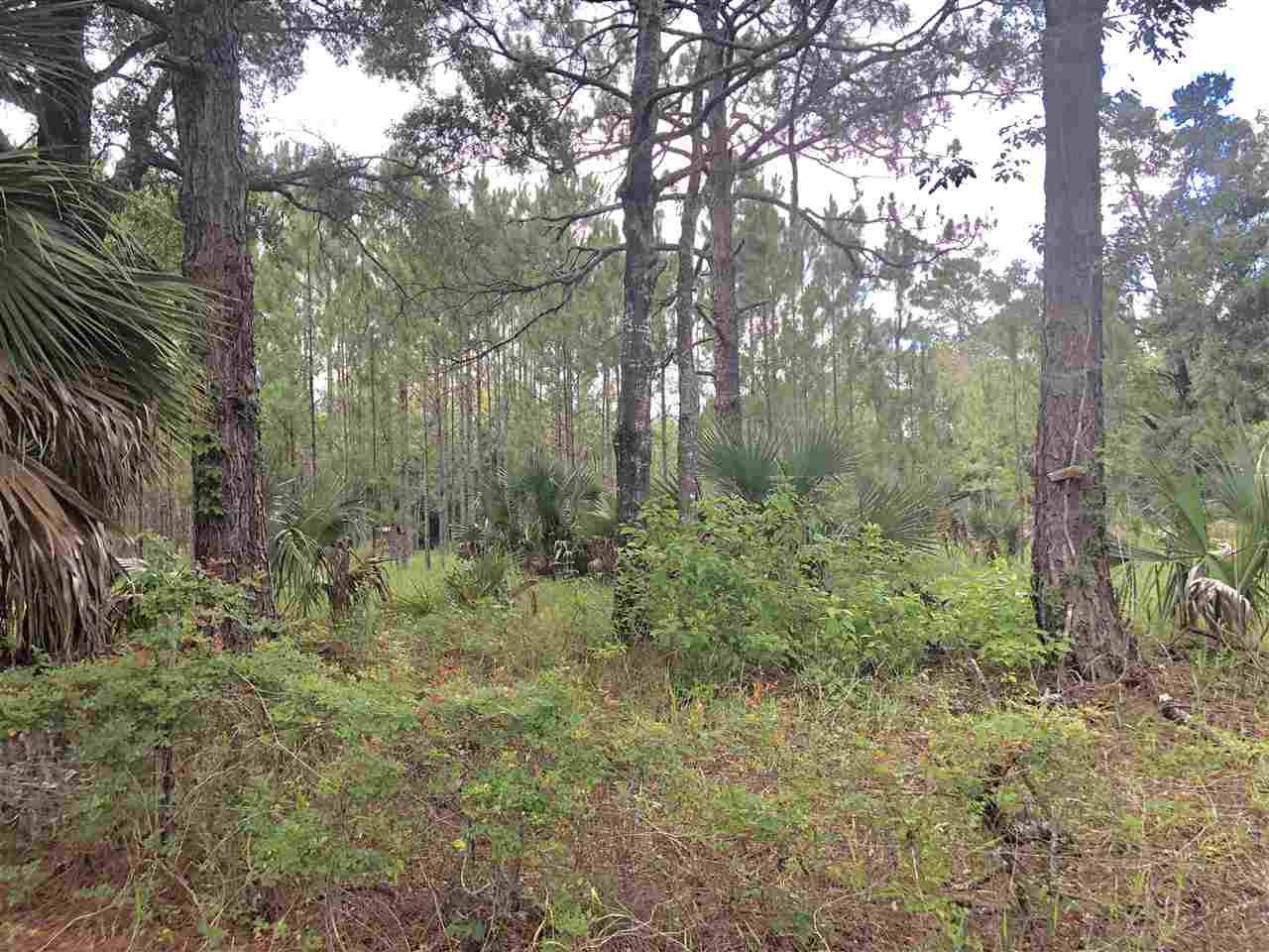 911 Jody Morgan Road Perry, FL 32348 - Photo 10 of 23 Gallery Image 10