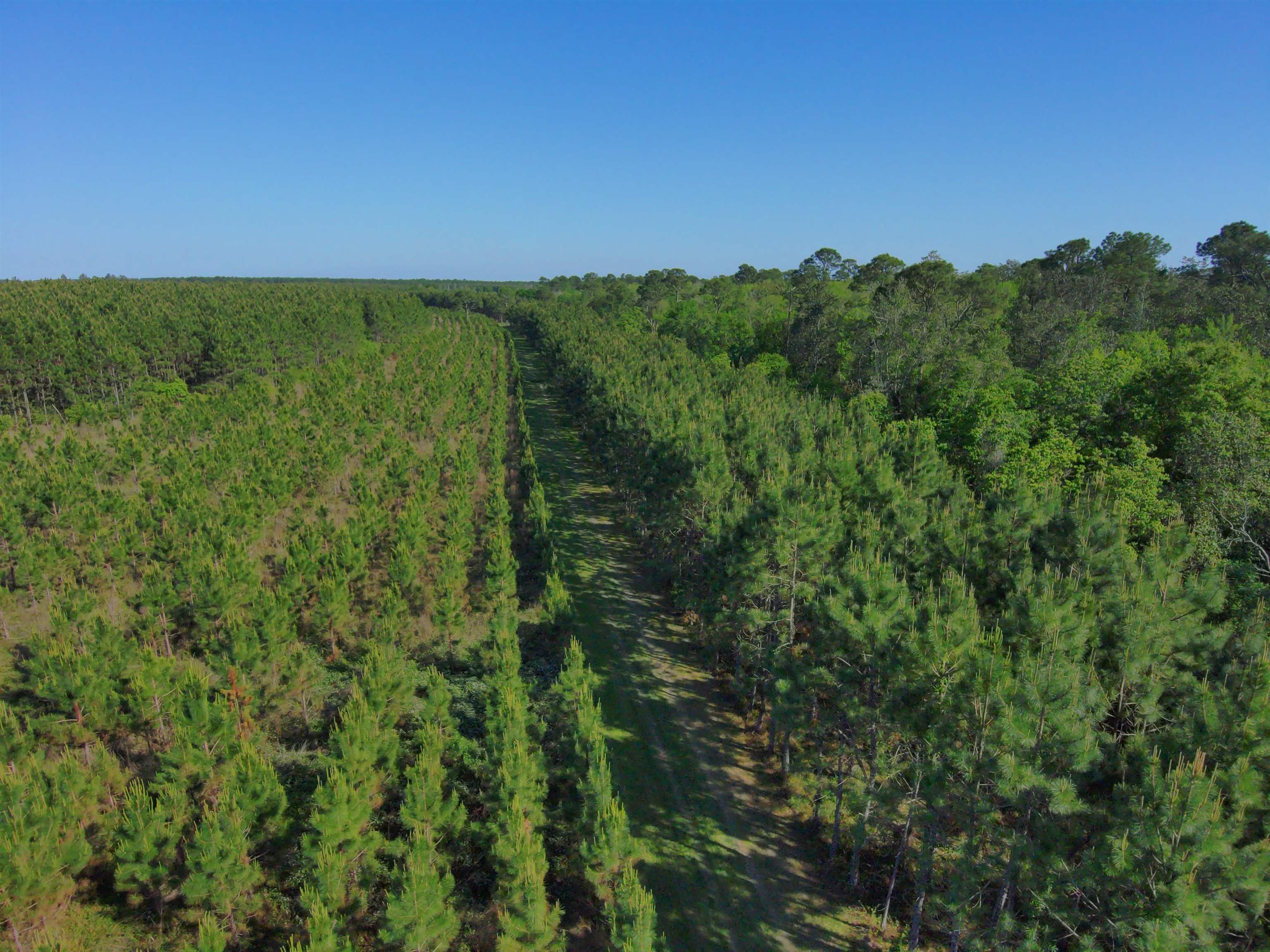87 County Road 87 Elberta, AL 36530 - Photo 19 of 66 View