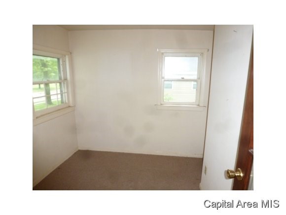 704 South State Street Roodhouse, IL 62082 - Photo 8 of 11