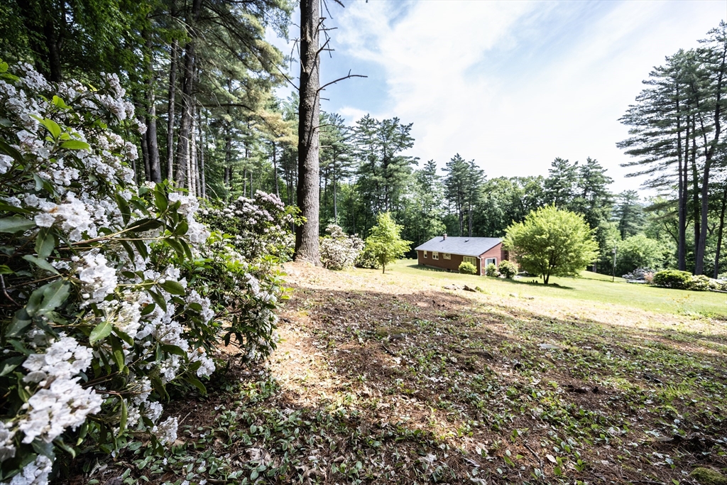 477 River Road Deerfield, MA 01342 - Photo 9 of 42