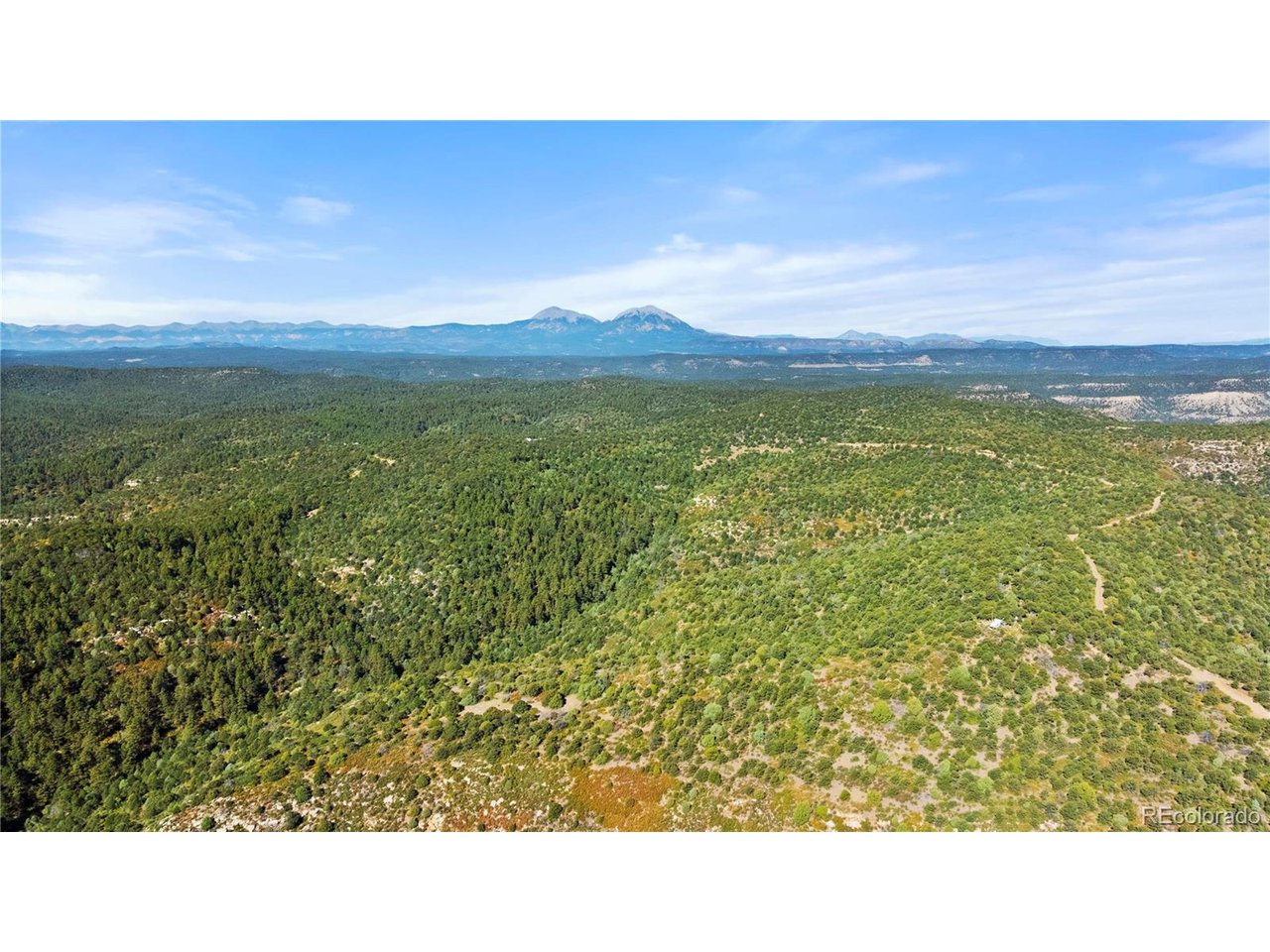 a black and white photo of a lake
