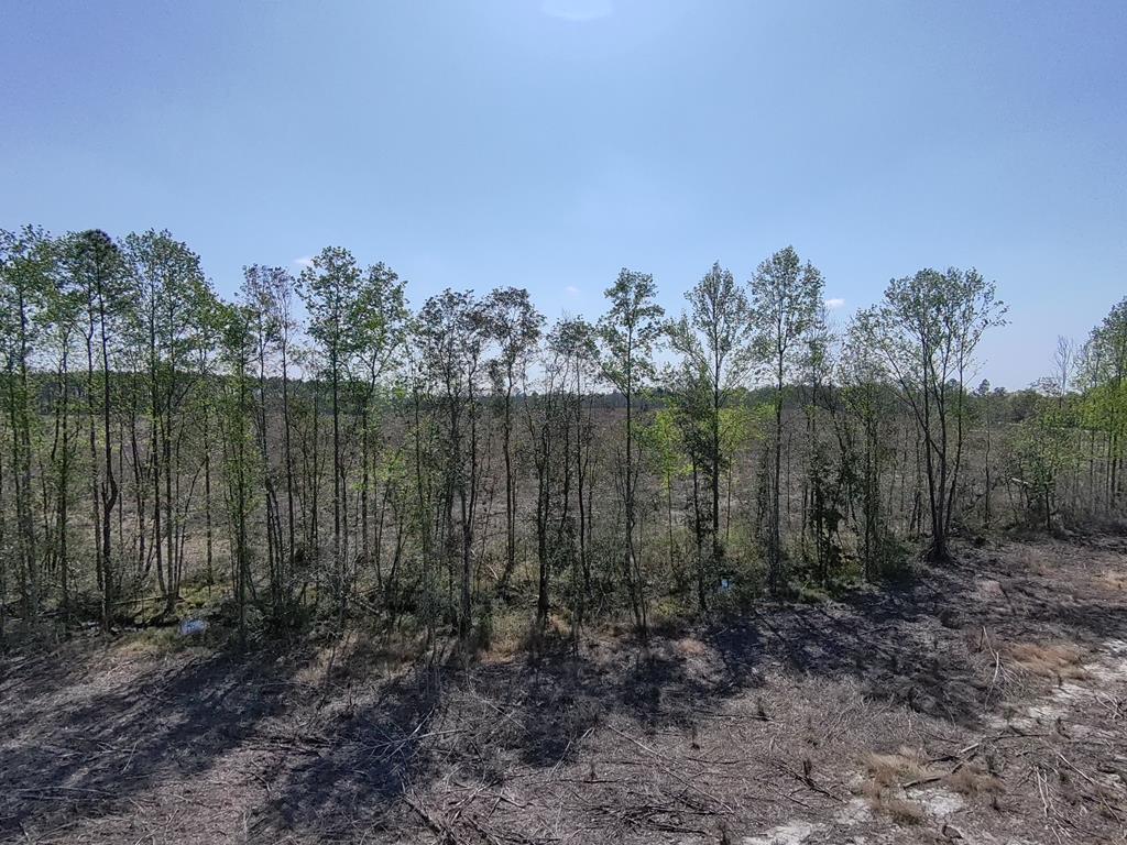 87 Highway 87 Samson, AL 36477 - Photo 20 of 47