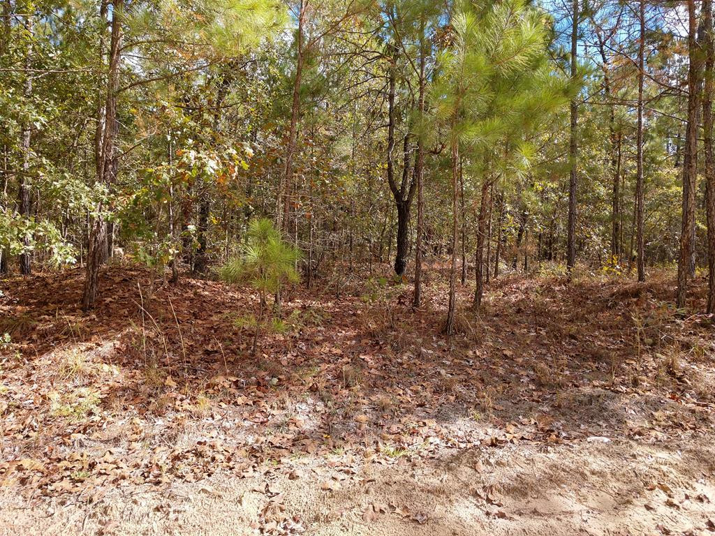 23.3 Syrup Mill Road Ridgeway, SC 29130 - Photo 1 of 1