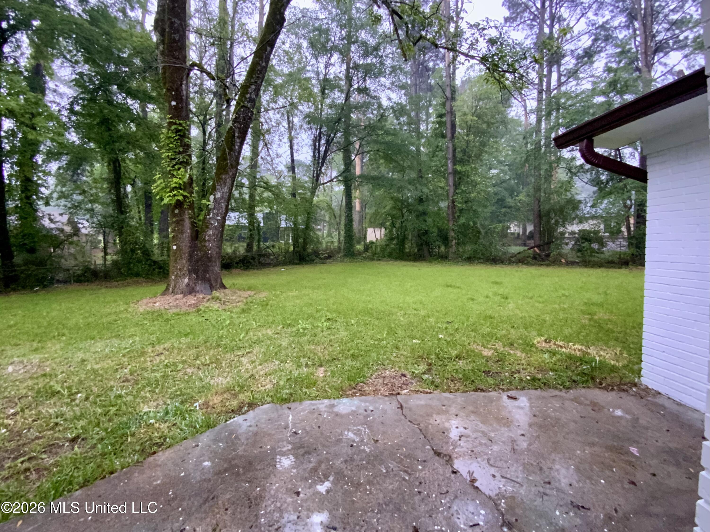613 Upper Darby Road Jackson, MS 39212 - Photo 9 of 9 Backyard