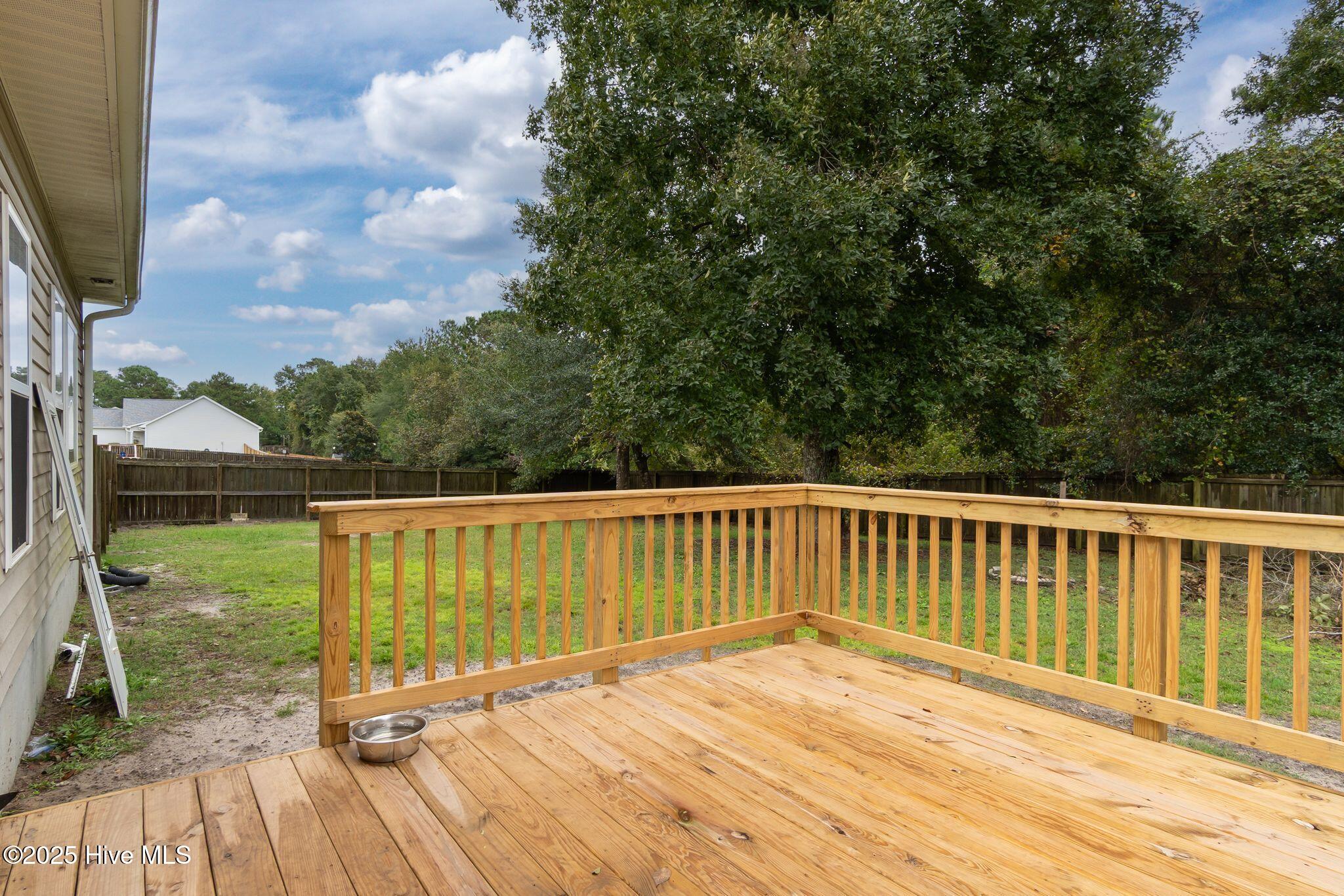 411 Peppermint Drive Hubert, NC 28539 - Photo 28 of 37 411 Peppermint-28