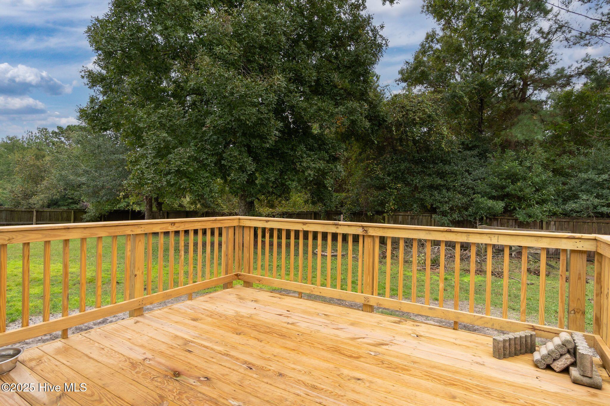 411 Peppermint Drive Hubert, NC 28539 - Photo 29 of 37 411 Peppermint-29