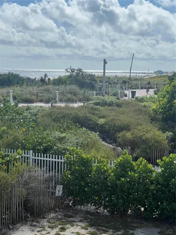 a view of a park with large trees and a wooden fence