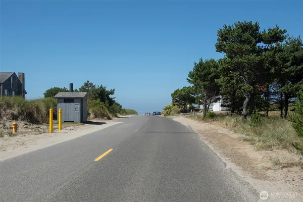 a row of palm trees and a fire pit with large trees