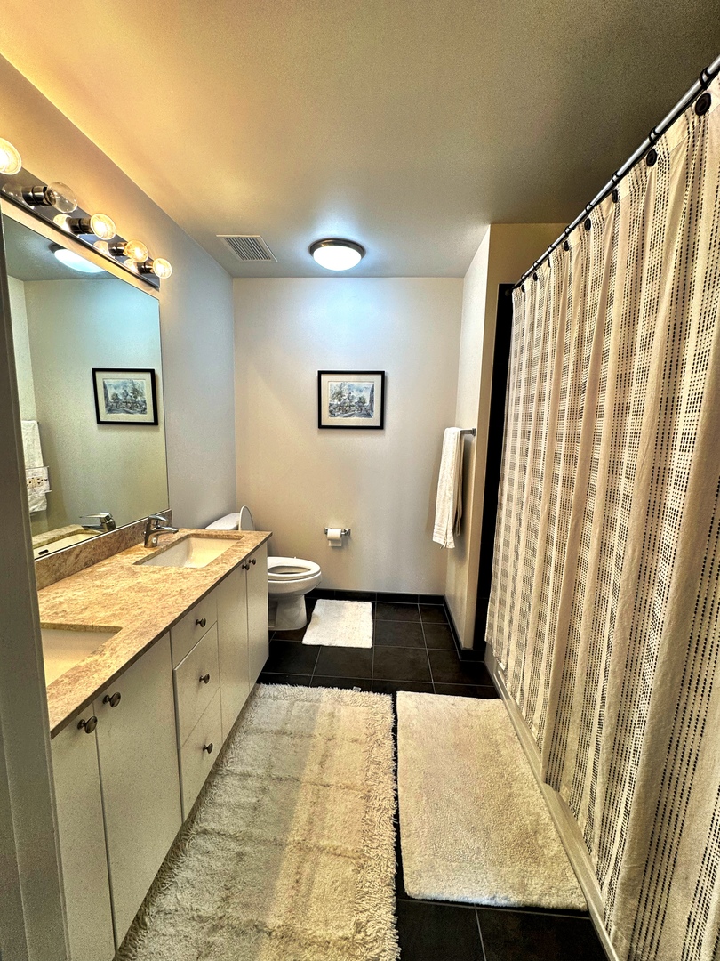 235 West Van Buren Street, Unit 4207 Chicago, IL 60607 - Photo 6 of 14