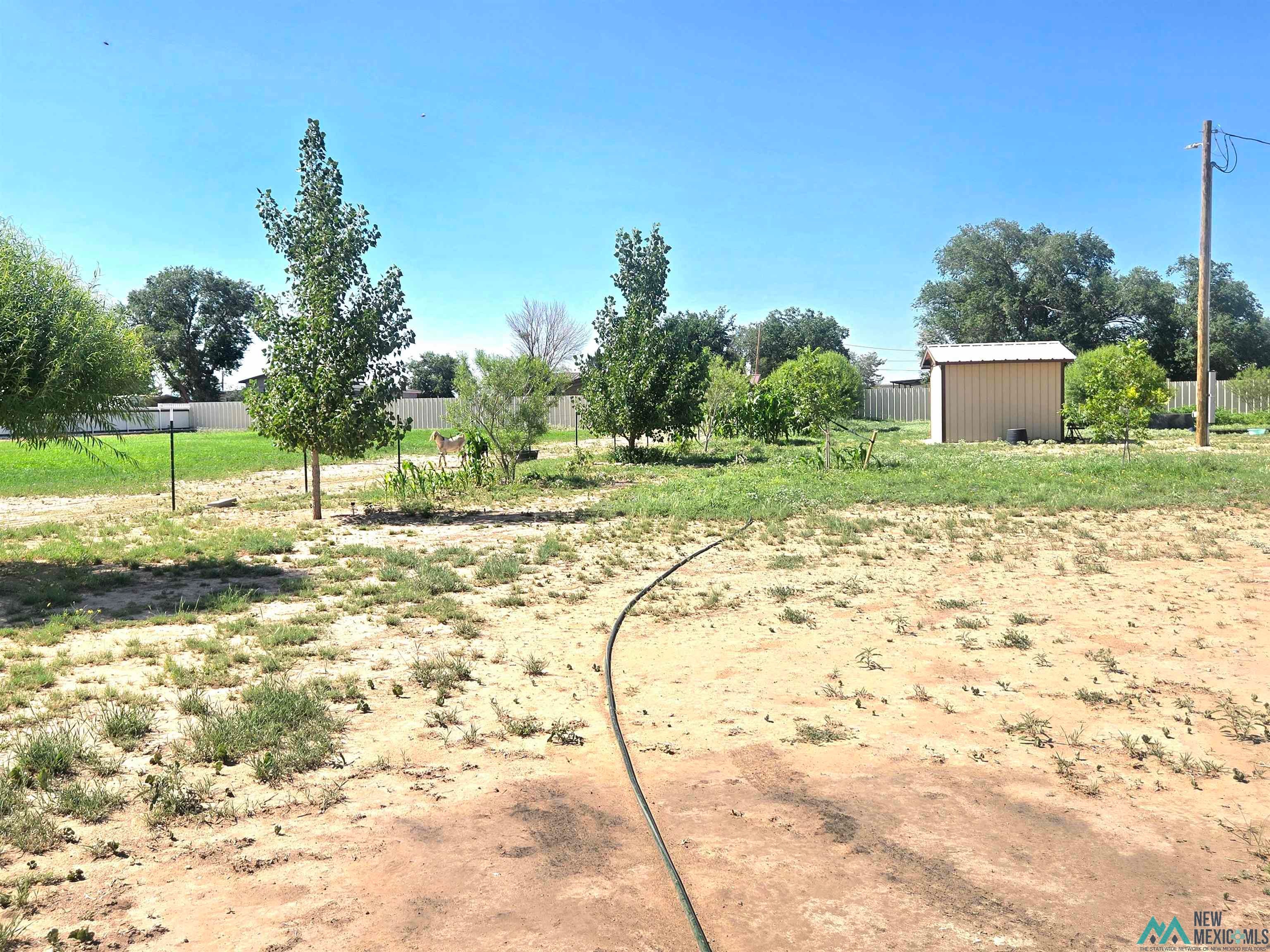 12 Partial Road Dexter, NM 88230 - Photo 20 of 40 Gallery Image 20