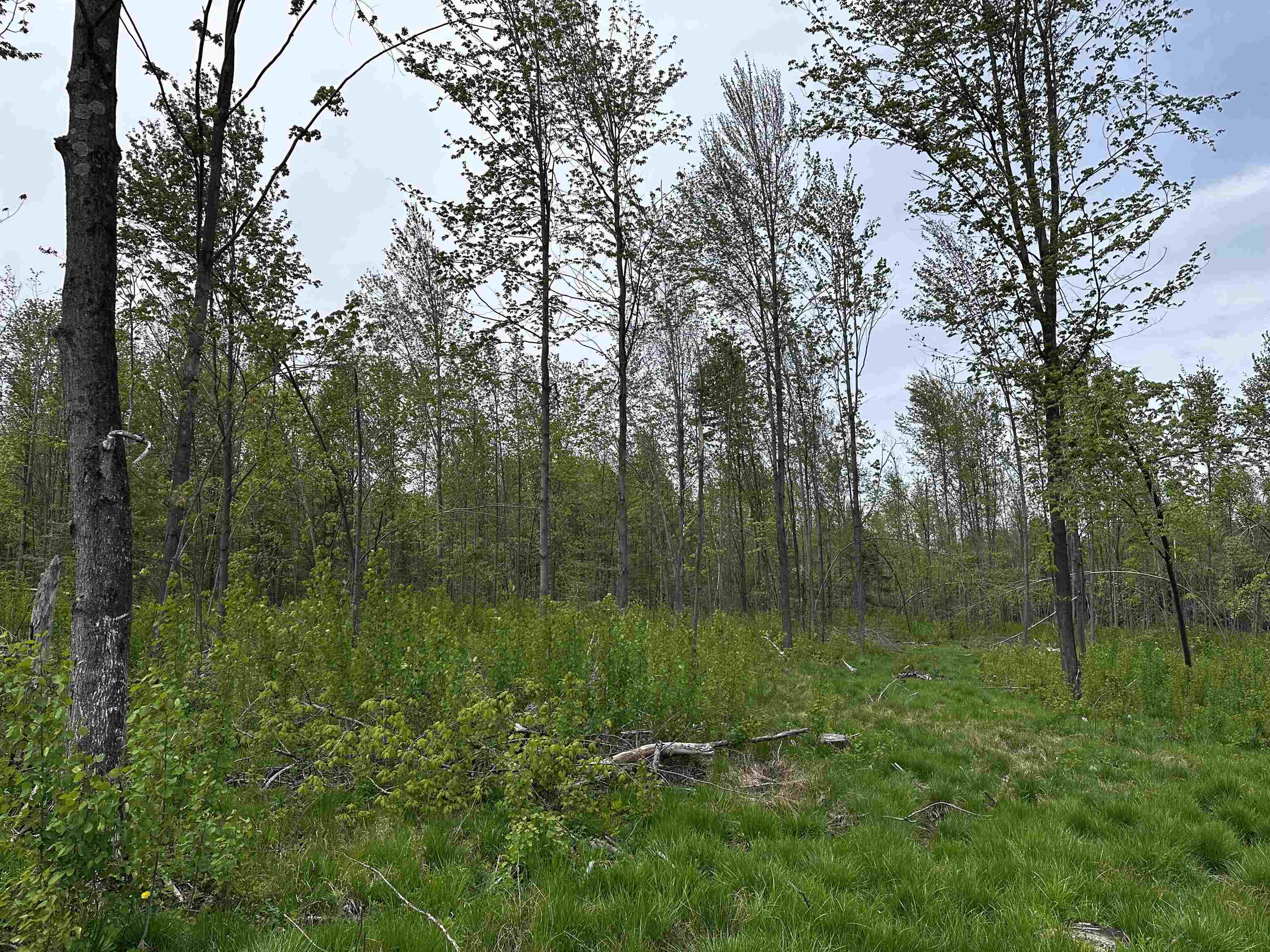 1 Granite Road Wausau, WI 54403 - Photo 11 of 15