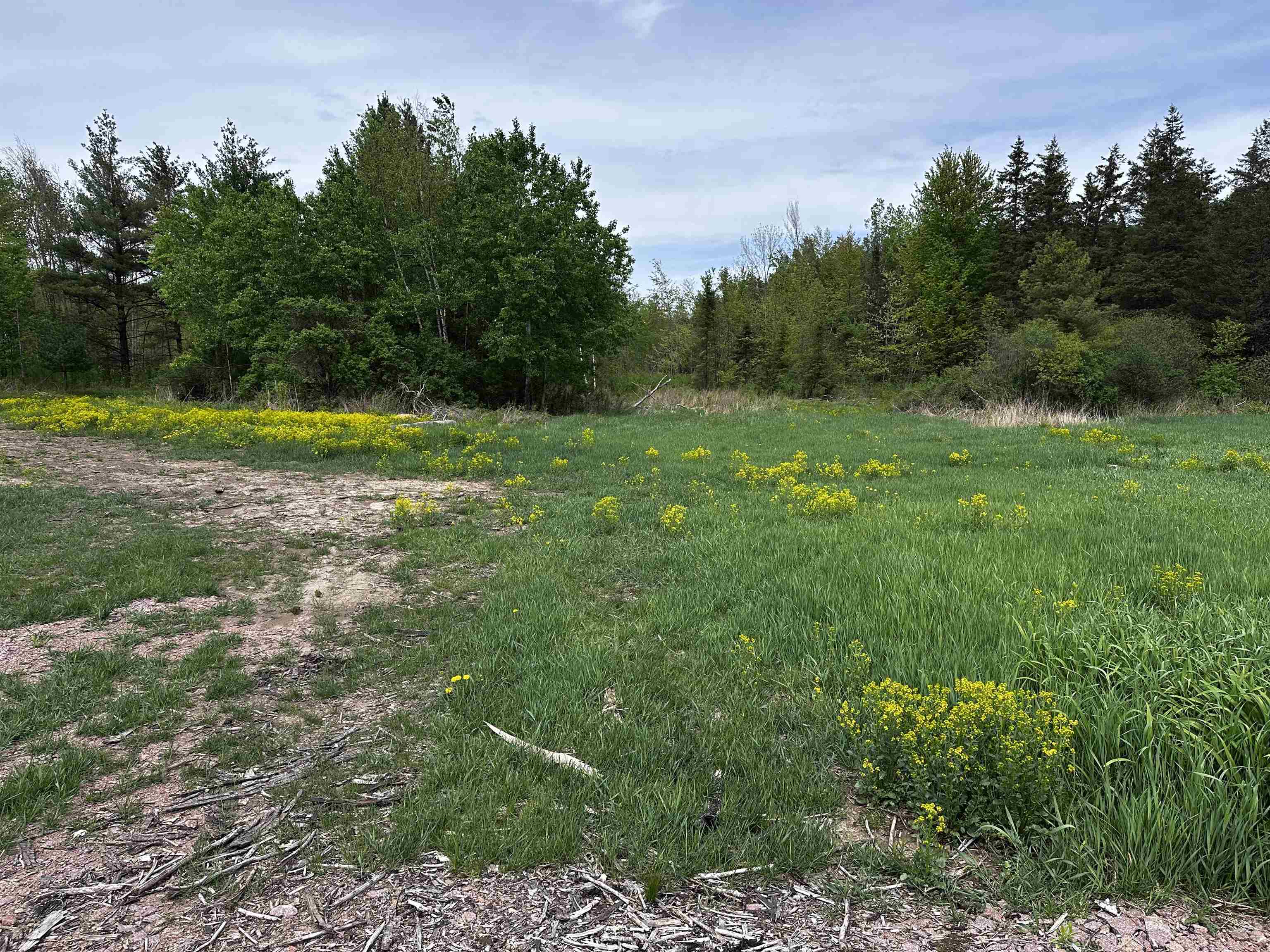 1 Granite Road Wausau, WI 54403 - Photo 3 of 15