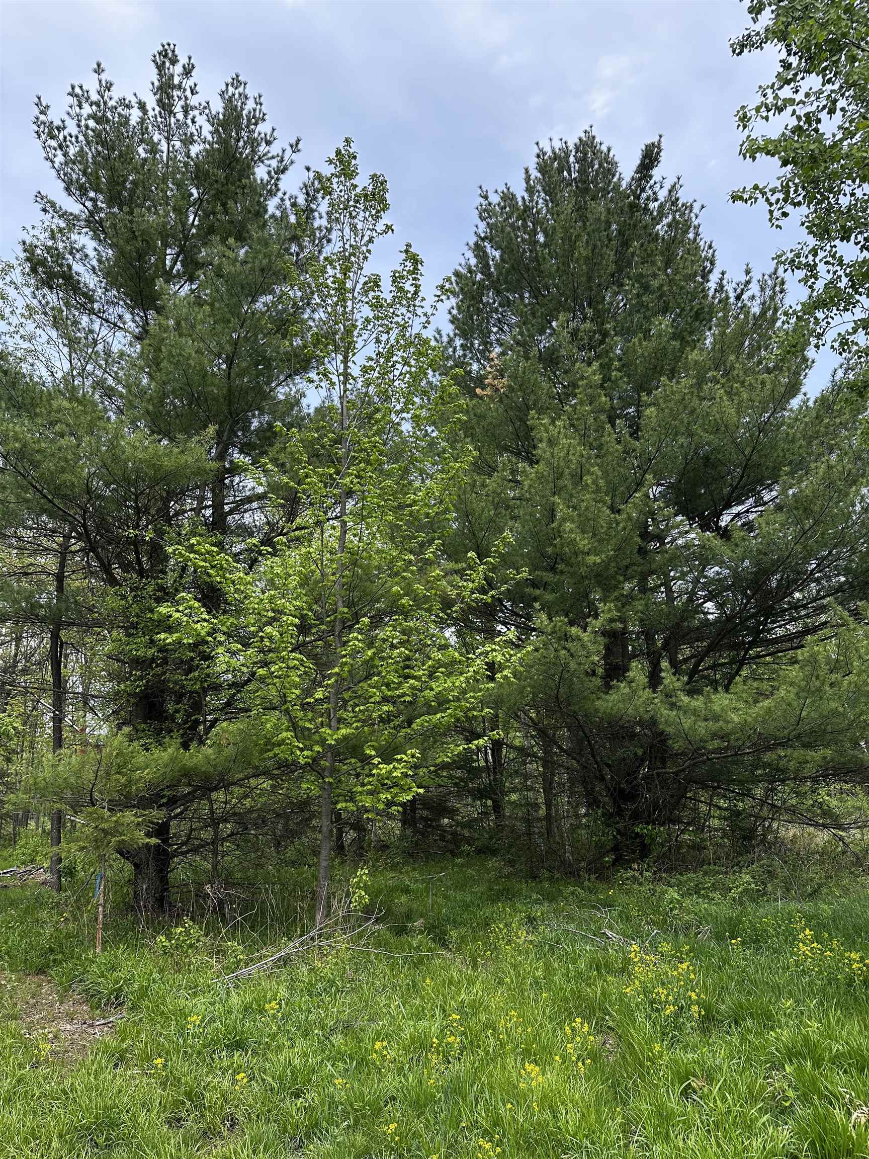 1 Granite Road Wausau, WI 54403 - Photo 6 of 15